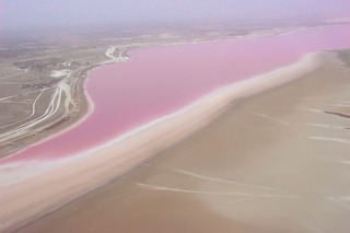 Lac_Rose

» Less than an hour from Dakar, there's a lake in an unusual pink color. The Retba Lake is only separated by some narrow dunes from the Atlantic Ocean. Its salt content is very high. 
The striking pink color is caused by the Dunaliella salina bacteria, which are attracted to the salt content of the lake. The bacteria produce a red pigment to absorb sunlight, giving the lake its unique color. «

Text: Vgl. http://www.lakeretba.com
Bild: http://www.travelmagma.com/senegal-travel-forum/don%27t-miss-places-in-senegal/